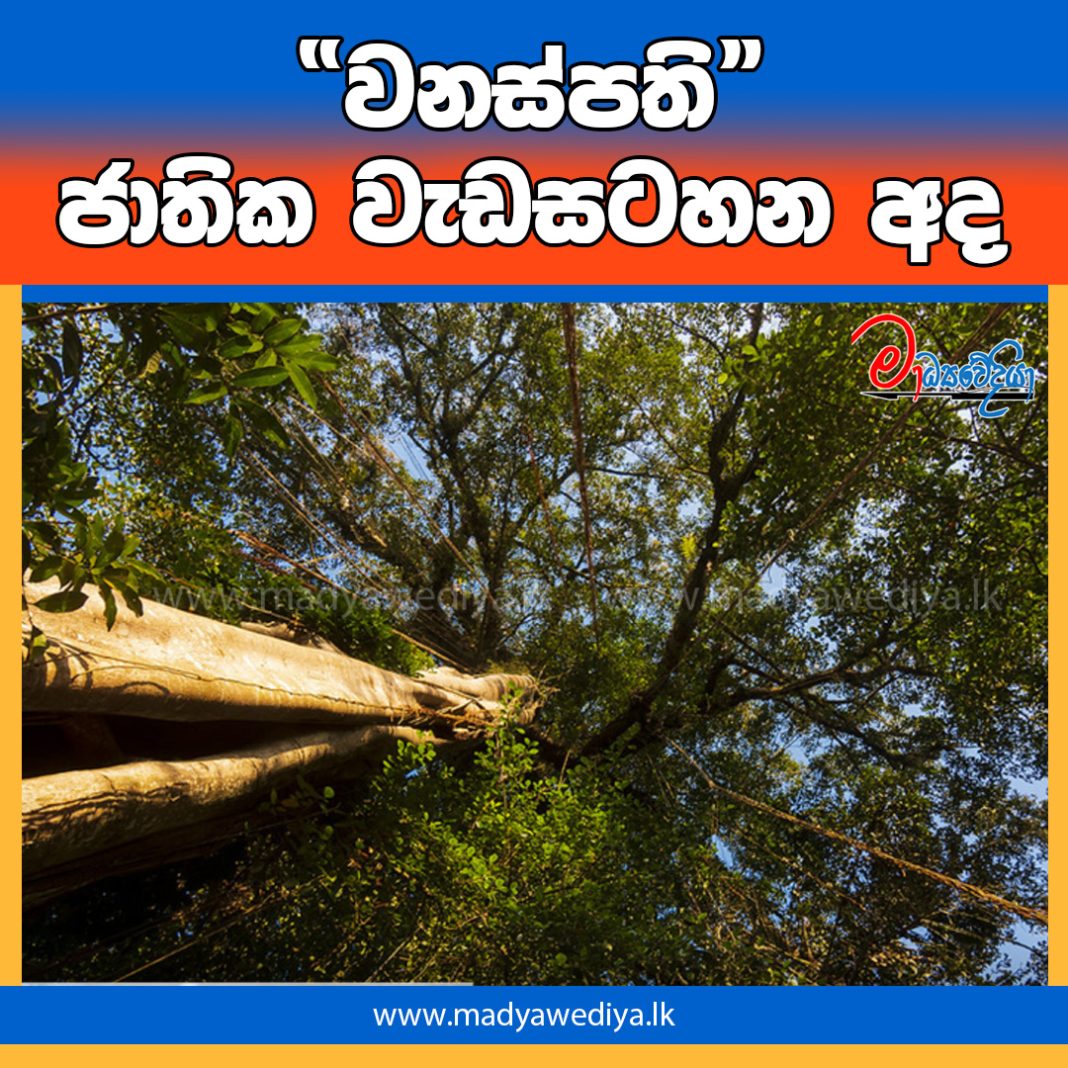 Madyawediya new news