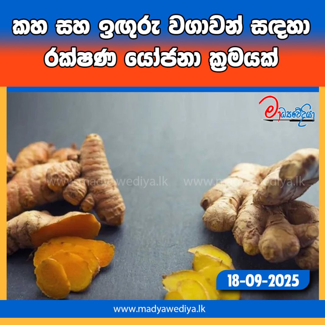 Madyawediya new news