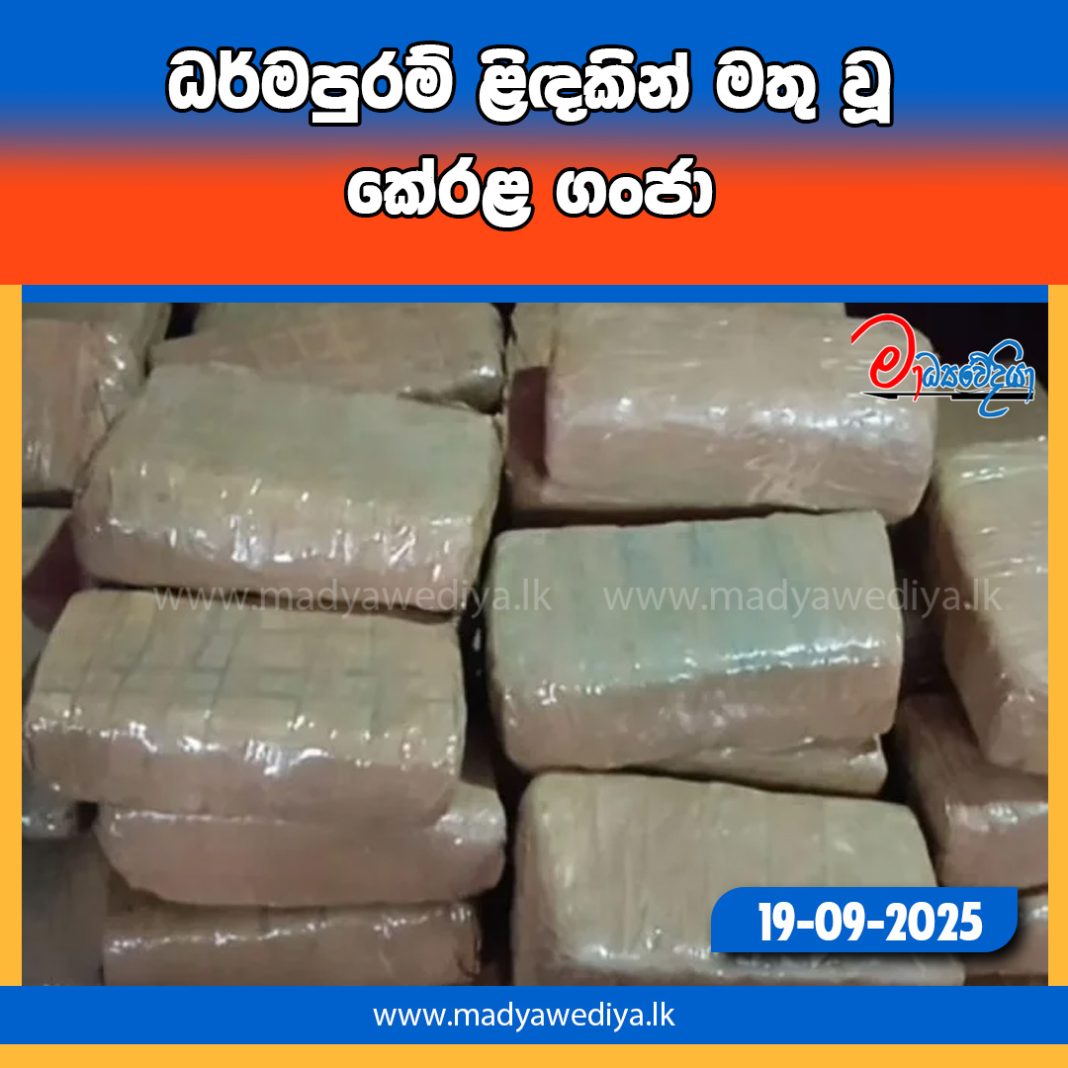 Madyawediya new news