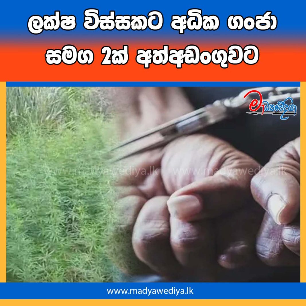 Madyawediya new news