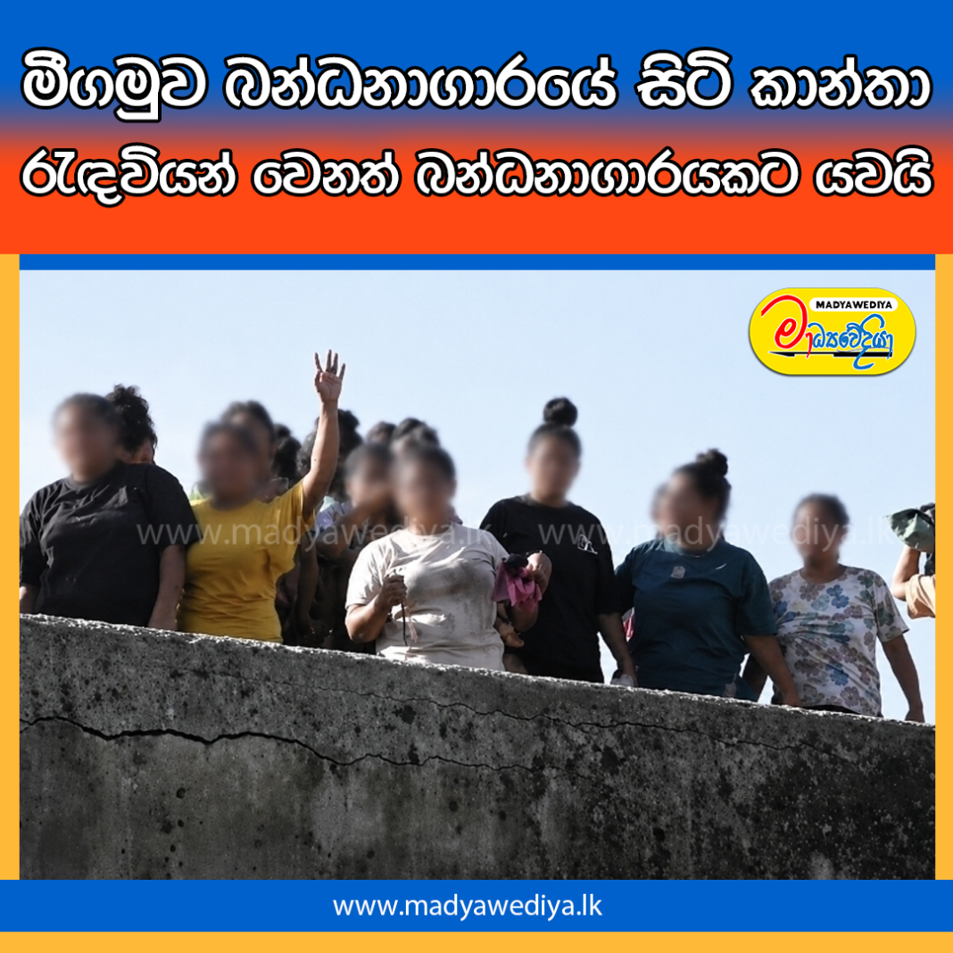 Madyawediya Web News Promotion PSD 2026