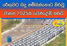 රේගුවට බදු හම්බන්තොට හිරවූ වාහන 1,025ක් වෙන්දේසි කරයි