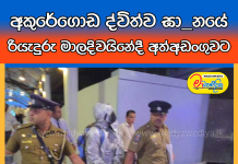 අකුරේගොඩ ද්විත්ව ඝාතනයේ රියැදුරු මාලදිවයිනේදී අත්අඩංගුවට