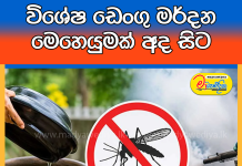 විශේෂ ඩෙංගු මර්දන මෙහෙයුමක් අද සිට